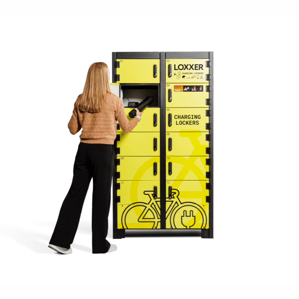 Batterisäkerhetsskåp litet (LOXK1100)